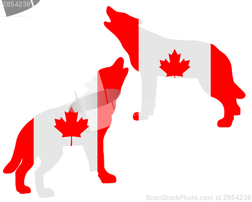 Image of Canadian howling wolves