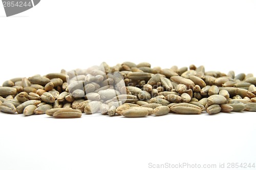 Image of Rye grains