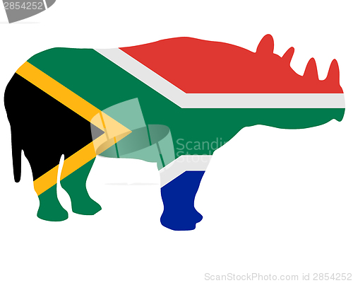 Image of Southafrican rhino