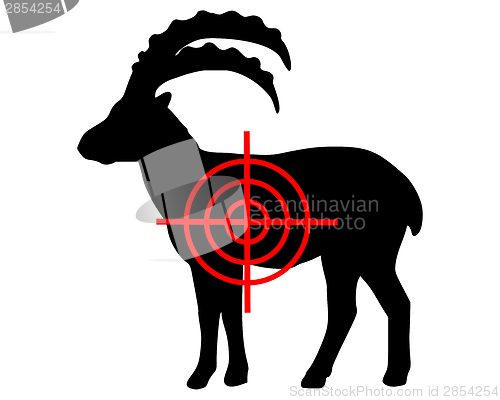 Image of Ibex crosslines