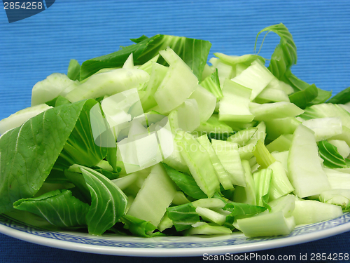 Image of Pak choi cutted on a blue background