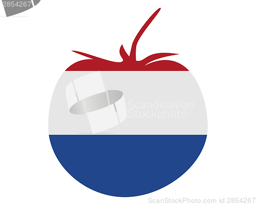 Image of Dutch tomato