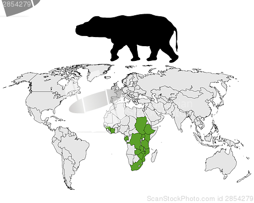 Image of Hippo range