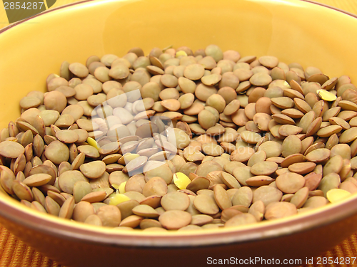 Image of One bowl of ceramic with lentils in a close-up view