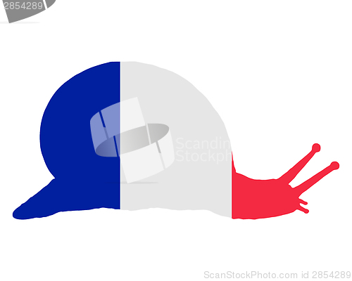 Image of French slug 