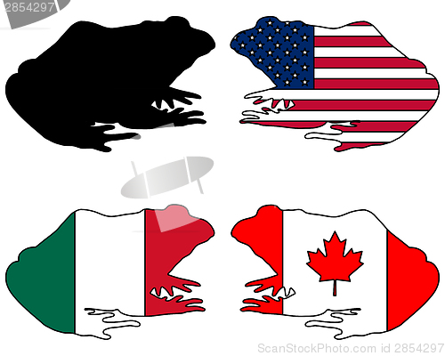 Image of Bullfrog flags