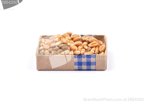 Image of Wheat on white