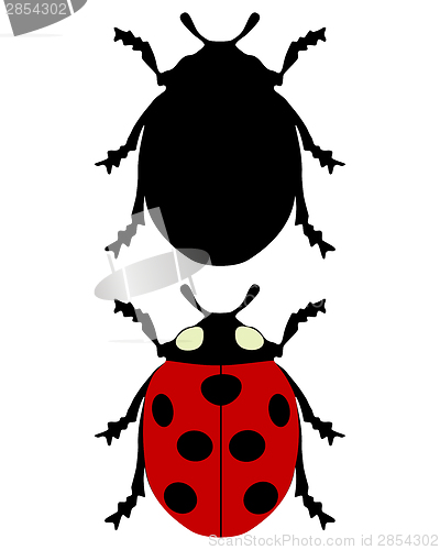 Image of Ladybird silhouette