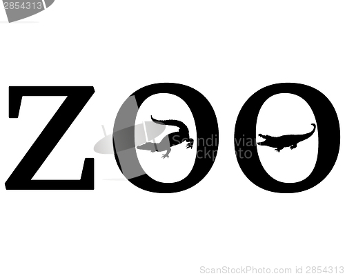 Image of Zoo animals