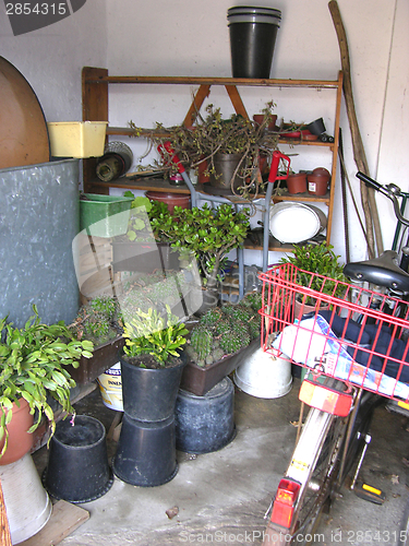 Image of A storage room or cellar for overwintering plants 