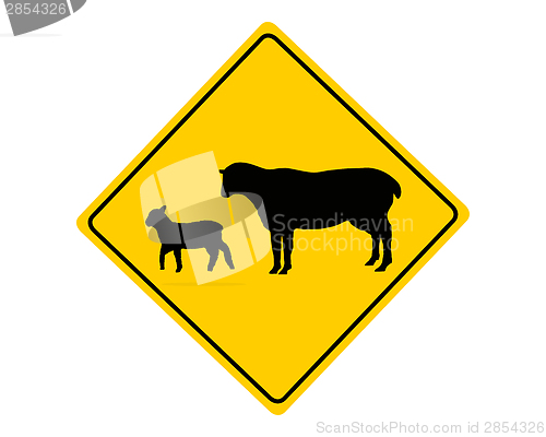 Image of Sheep flock warning sign