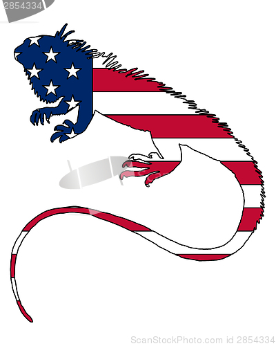 Image of Iguana United States of America