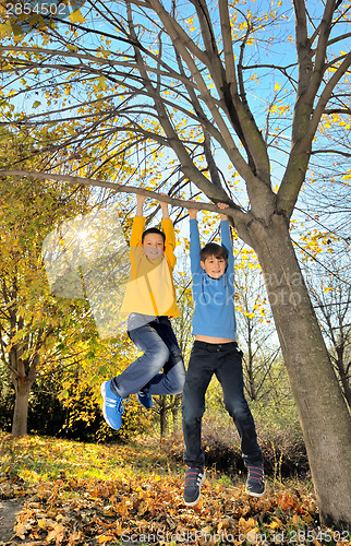 Image of boys hanging from branch of tree