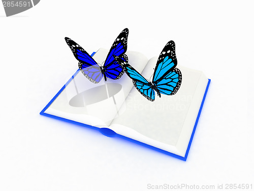 Image of butterfly on a book