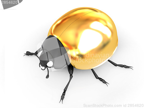 Image of golden beetle 
