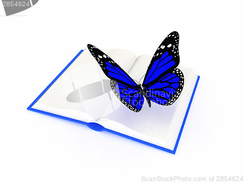Image of butterfly on a book