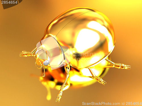Image of golden beetle 