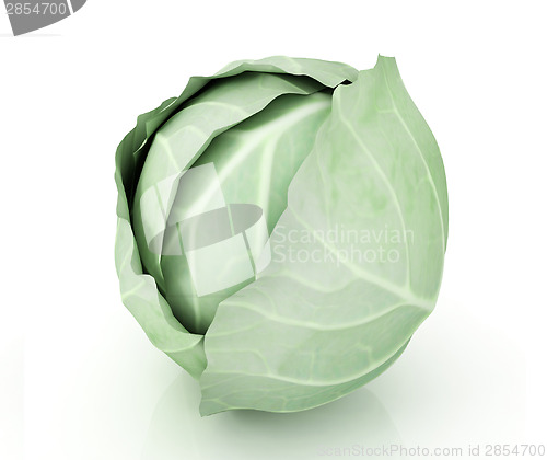 Image of Green cabbage