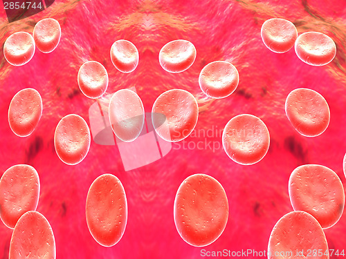 Image of Blood cells