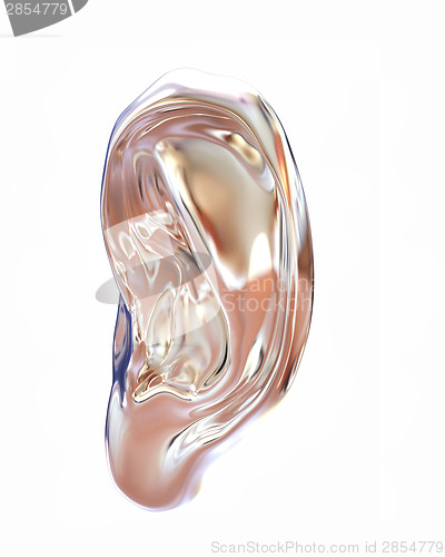 Image of Ear metal