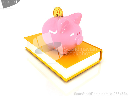 Image of Piggy Bank with a gold dollar coin on book.