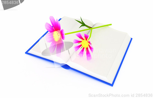 Image of Wonderful flower cosmos and book