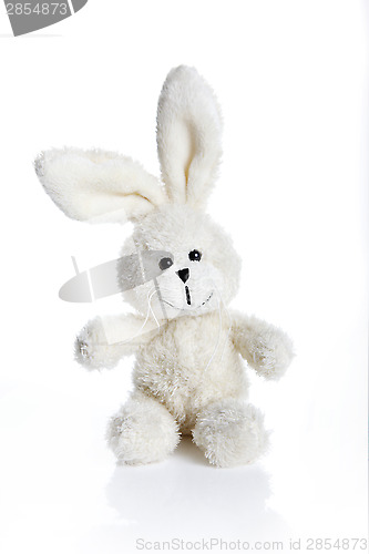 Image of Sitting stuffed bunny