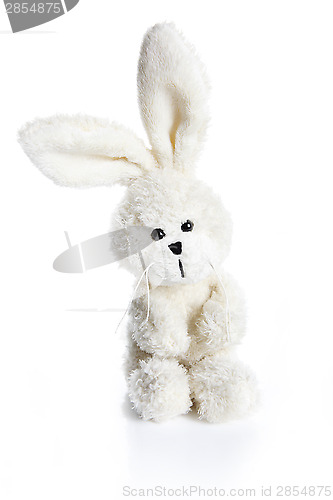 Image of Sitting stuffed bunny