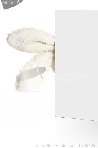 Image of Rabbit ears look out from behind a white paper