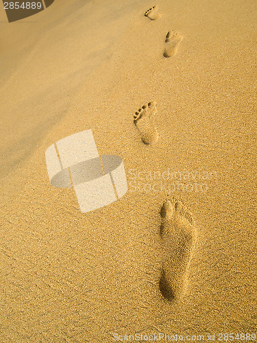 Image of Footprint at the beach