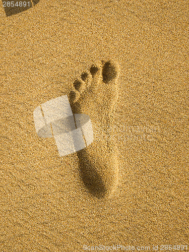 Image of Footprint at the beach