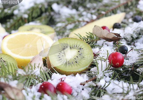 Image of Fruit on snow
