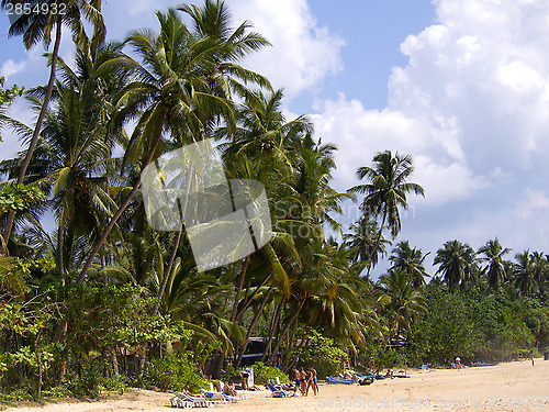 Image of Beautiful landscape at the beach 