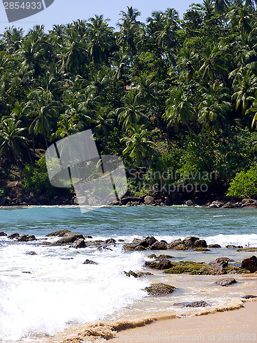 Image of Beautiful landscape at the beach 