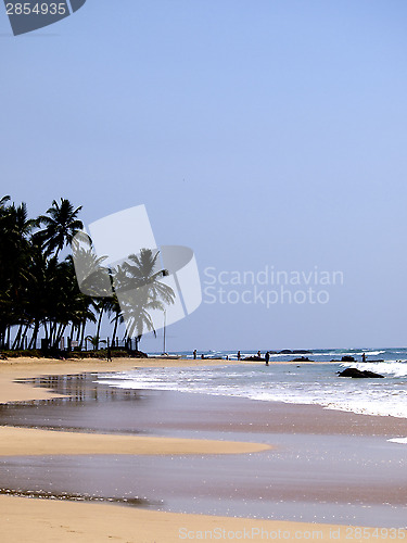 Image of Beautiful landscape at the beach 