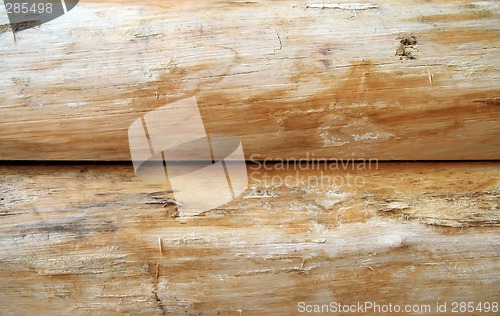 Image of Bright wooden logs