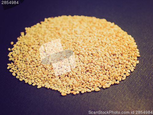 Image of Retro look Sesame seeds