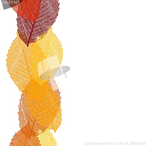 Image of Dry autumn leaves template. EPS 10
