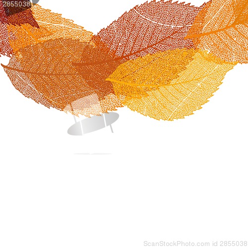 Image of Dry autumn leaves template. EPS 10