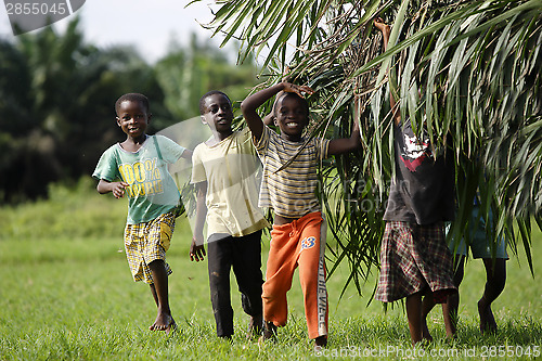 Image of African kids help with carring palm leaves