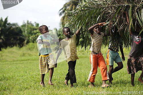 Image of African kids help with carring palm leaves