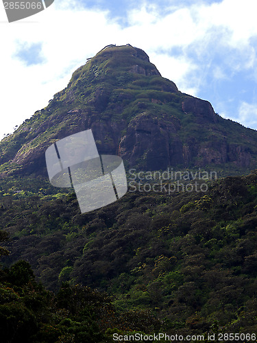 Image of Adam´s Peak