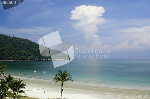 Image of Tropical beach


