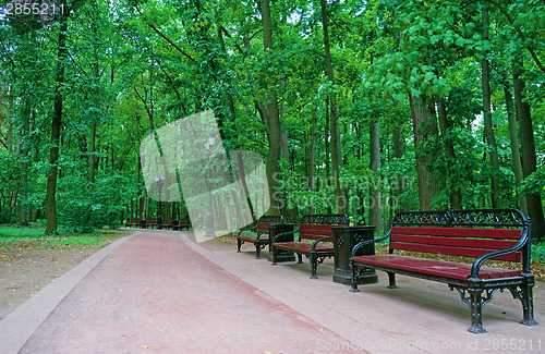Image of Several benches along a walkway in a summer park