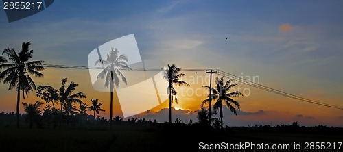 Image of Sun setting over Bali