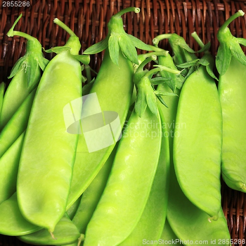 Image of Green peas