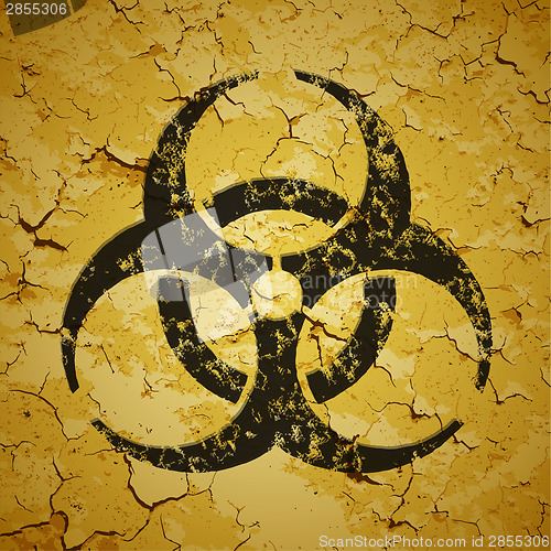 Image of Black emblem painted on grunge wall - biohazard logo