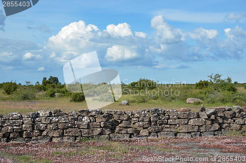 Image of Summer view at a stonewall in a plain landscape