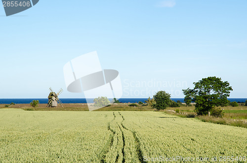 Image of Rural landscape with windmill and corn field