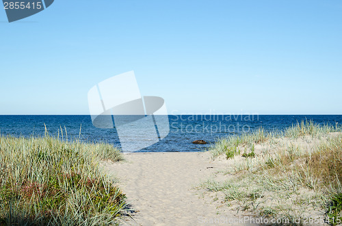 Image of Pathway to the beach of Baltic Sea at the swedish island Oland